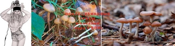 MDMA Premium VHQ Магадан