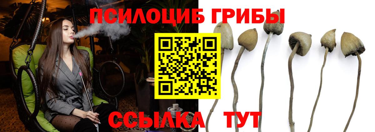 Галлюциногенные грибы Psilocybe  Вход с VPN  Курск 